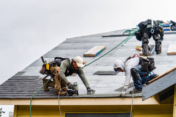Professional Storm Damage Roof Repair technician working in Trenton, GA