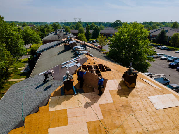 Trusted Storm Damage Roof Repair service in Trenton, GA - Brentwood Metal Roofing